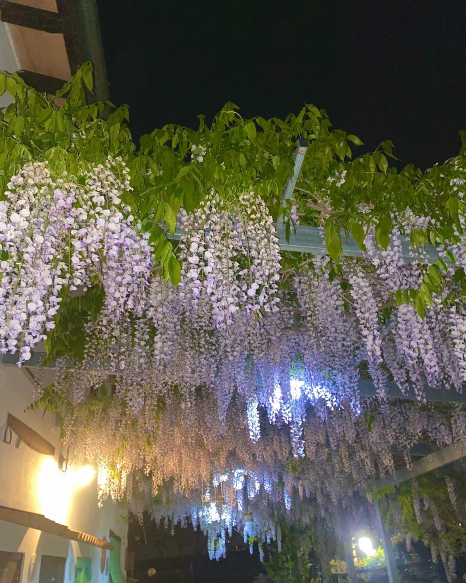 La Locanda Del Tevere Фиано-Романо Экстерьер фото
